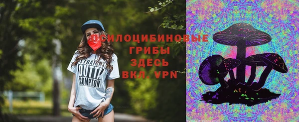дмт Алексин