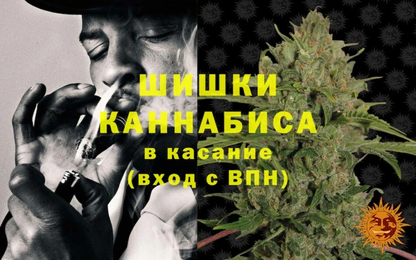 шишки Новозыбков