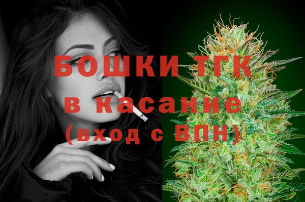 дмт Алексин