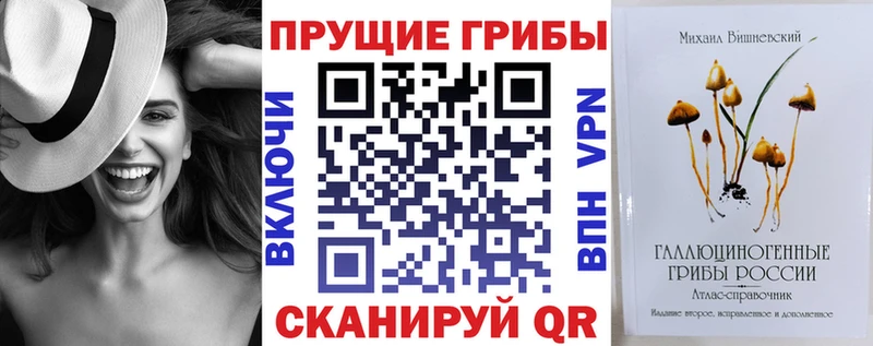 darknet какой сайт цена наркотик Полевской Псилоцибиновые грибы Magic Shrooms hydra ONION